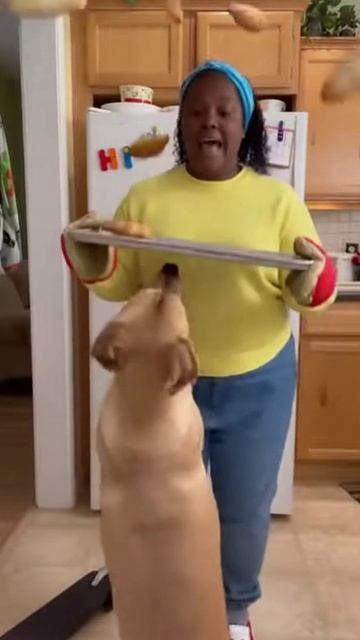 Нарезка веселья смотреть онлайн