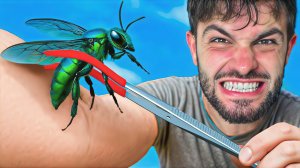 Ужален изумрудной пчелой. Самые болючие укусы