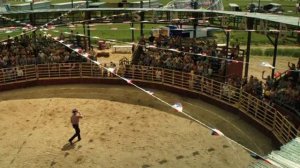 Живая сталь.Бой быка против робота на ярмарке.