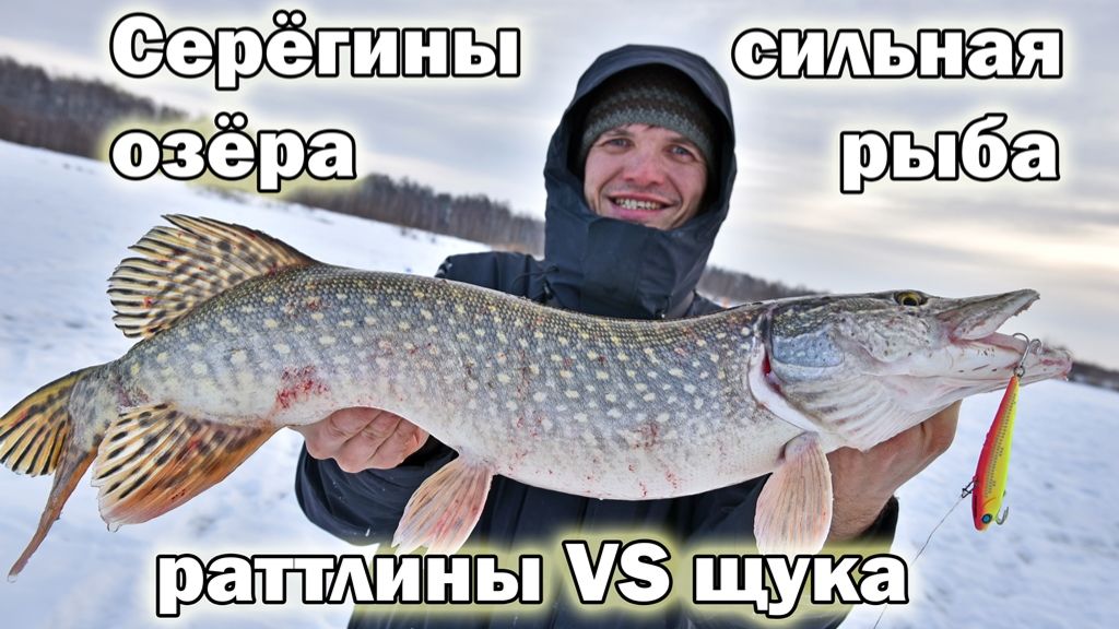 Морозный выезд на любимый пруд