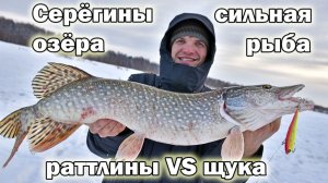 Морозный выезд на любимый пруд