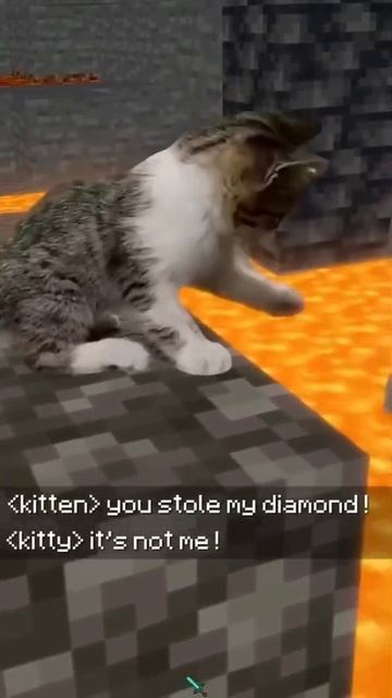 кашаки захватили маин смотреть онлайн