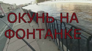 РЫБАЛКА НА ФОНТАНКЕ✅ #спиннинг