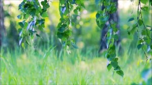 «Ветерок на фоне Моцарта». Музыка детям с ОВЗ.