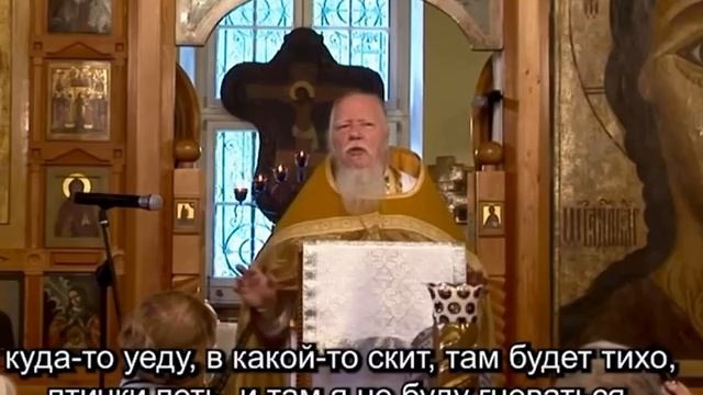☦️Протоиерей Димитрий Смирнов о страсти гнева👹. смотреть онлайн