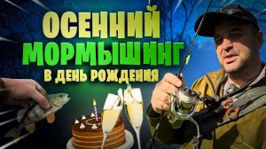 Осенний мормышинг в день рождения. окуни и щуки порадовали