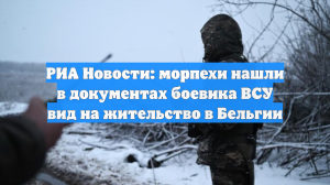 РИА Новости: морпехи нашли в документах боевика ВСУ вид на жительство в Бельгии