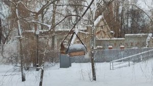 Наглая белка. Белочка и кормушка. Забавная белочка. Зима 2026