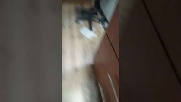 10987654321100лера