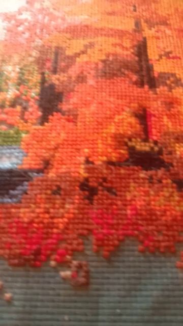 Video_20260124_143004.mp4