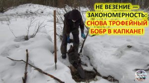 Тот же ход, тот же капкан — и снова король реки