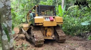 Гигантские бульдозеры расчищают все кусты, чтобы построить дорогу