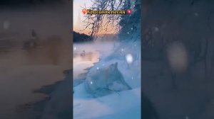 XakeR - Родился там где вьюги пели »