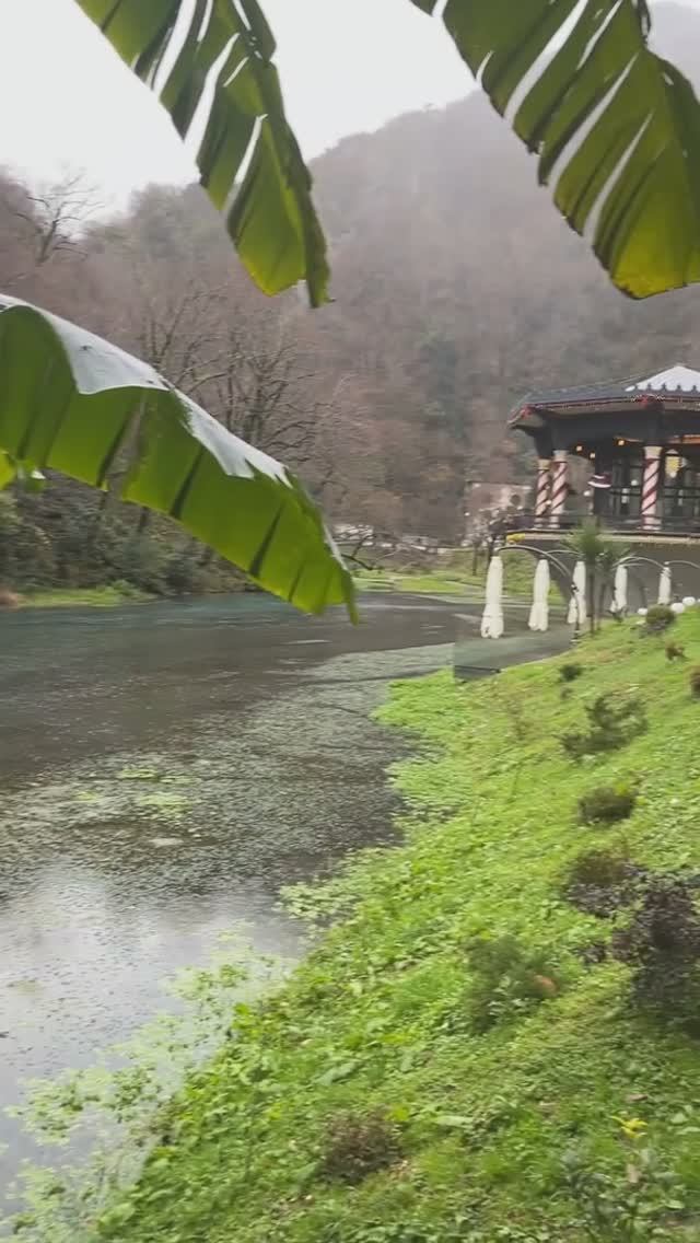 Абхазия, промокший под зимним январским дождём Новый Афон сегодня (24 января, ЗИМА-2026) смотреть онлайн