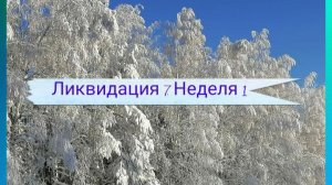 СП "Ликвидация 7". Неделя 1. Участник 9