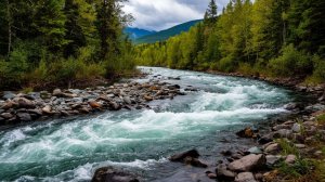 Отдохни и расслабься сейчас 🌴 Закрой глаза и расслабься сейчас 😃 Слушай сейчас музыку 🌱