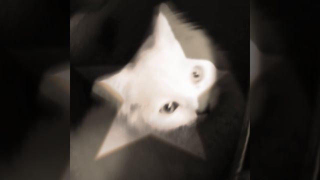 (≡^∇^≡) смотреть онлайн
