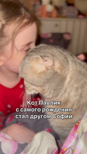 Стань и ты моим другом!