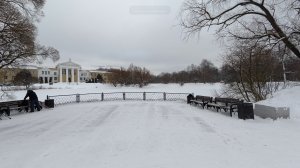 Прогулка по зимнему ботаническому саду имени Н. В. Цицина | Москва