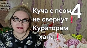 Куча с псом не свернут❗Кураторам хана❗