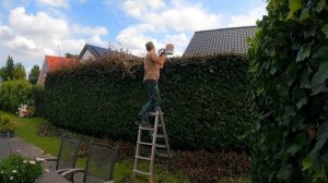 Друг СКАЗАЛ: «ТЫ — ТОТ САМЫЙ», кто нужен для этой работы