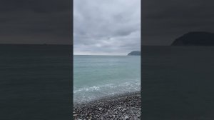 А кто его не хочет? #хочунаморе