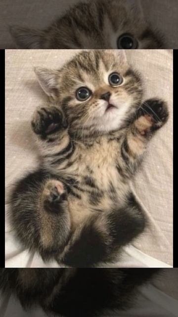 спасибо за доброту смотреть онлайн