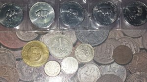 Пополнение коллекции монет