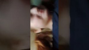 ночёвки по счетам