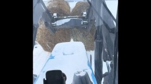 Управляем животноводство возим рулоны перед морозами смололи с супругой фураж