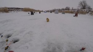 ЗИМНЯЯ РЫБАЛКА НА КАРАСЯ.РЕКА ЦИМЛА