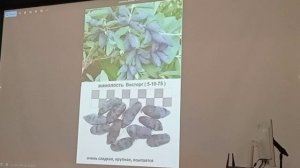 Об особенностях роста жимолости, ирги, калины и боярышника.