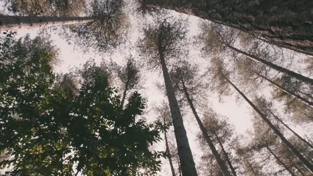 Показ коллекции Burberry весна-лето 2021