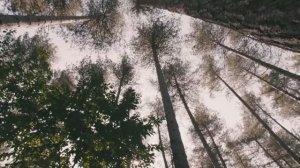 Показ коллекции Burberry весна-лето 2021