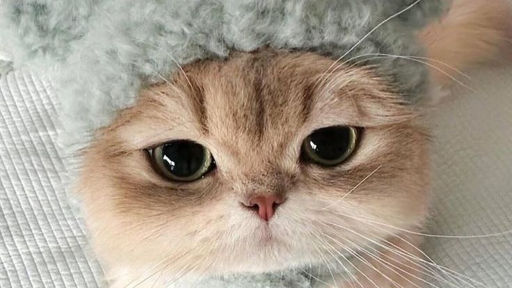 сыграл дуэль с подпищиком смотреть онлайн