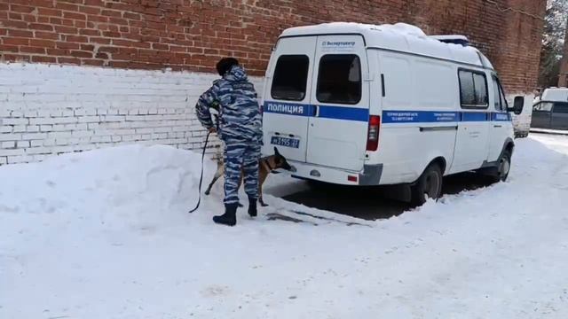 В Армавире прошла акция «Студенческий десант» смотреть онлайн