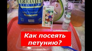 Посев петунии на снег: пошаговый мастер-класс для идеальных всходов.