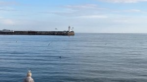 Ялта. Рождество на берегу. Черное море. 07 января 2026. Крым. Crimea. Yalta.