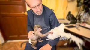 Люся воюет с Жориком за внимание Влада, а Ангелина радуется что смогла погладить Жору)