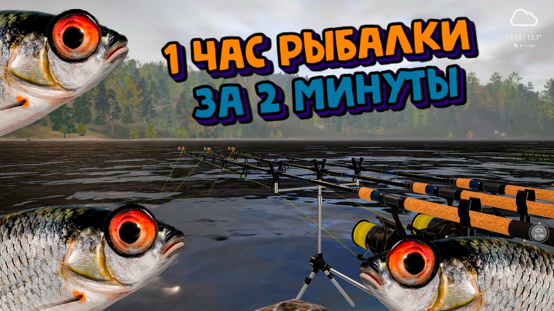 Плотва сибирская. р. Нижняя Тунгуска. 1 Час Рыбалки за 2 минуты. РР4. Русская Рыбалка 4