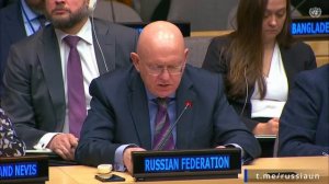 В.А.Небензя по случаю 80-летия Экономического и Социального Совета ООН, Нью-Йорк, 23 января 2026 г.