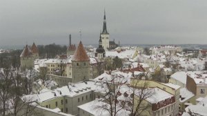 Эстонию лишили ЧЕ по фехтованию из-за отказа выдавать визы российским и белорусским спортсменам.