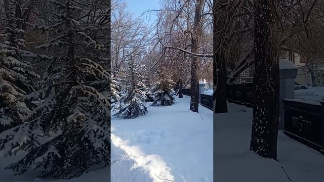 25 января 26 года. Утро. Ульяновск.