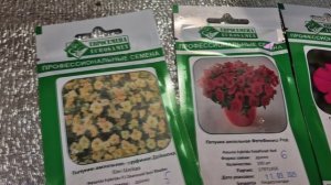 НОВЫЕ СОТРА АМПЕЛЬНОЙ ПЕТУНИИ ДЛЯ НОВОГО СЕЗОНА 2026