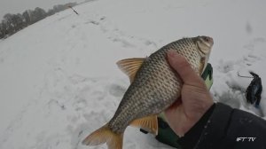 Зимняя рыбалка 25/26. Ловля на безмотылку.