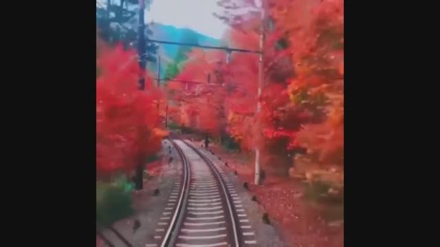 Эдит Пиаф. Non, je ne regrette rien