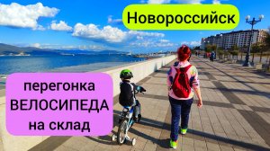 #163 Как перегнать велосипед на зимнее хранение и выжить #морскаяцаревна #пойдемсомной #sumkiberry