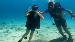 Внук-дайвер. Увлекательный подводный мир.