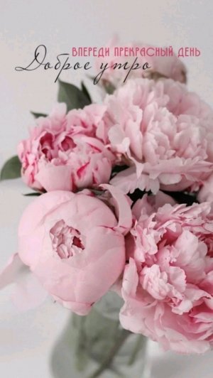 доброе утро