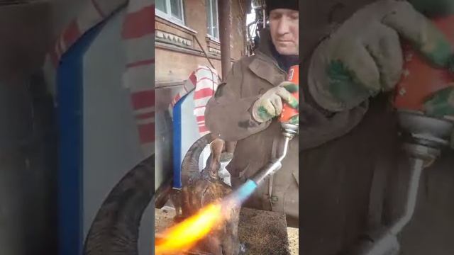 приготовление голову барана с ногами смотреть онлайн